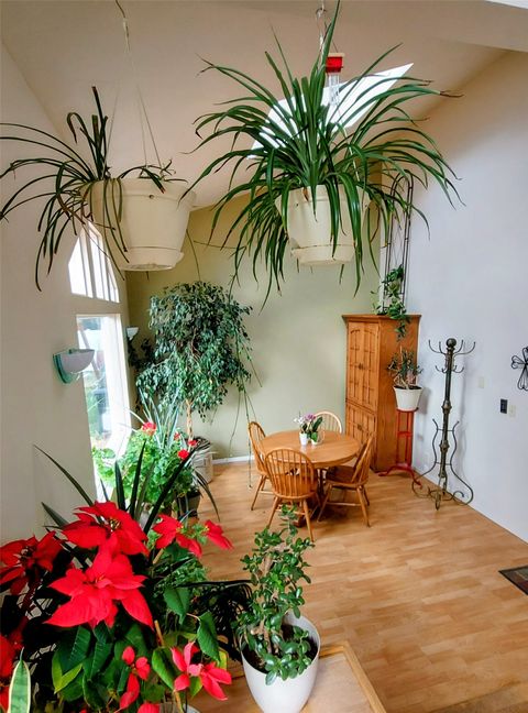 Tiny photo for 20 Penny Lane, Butte, MT 59701 (MLS # 30071222)