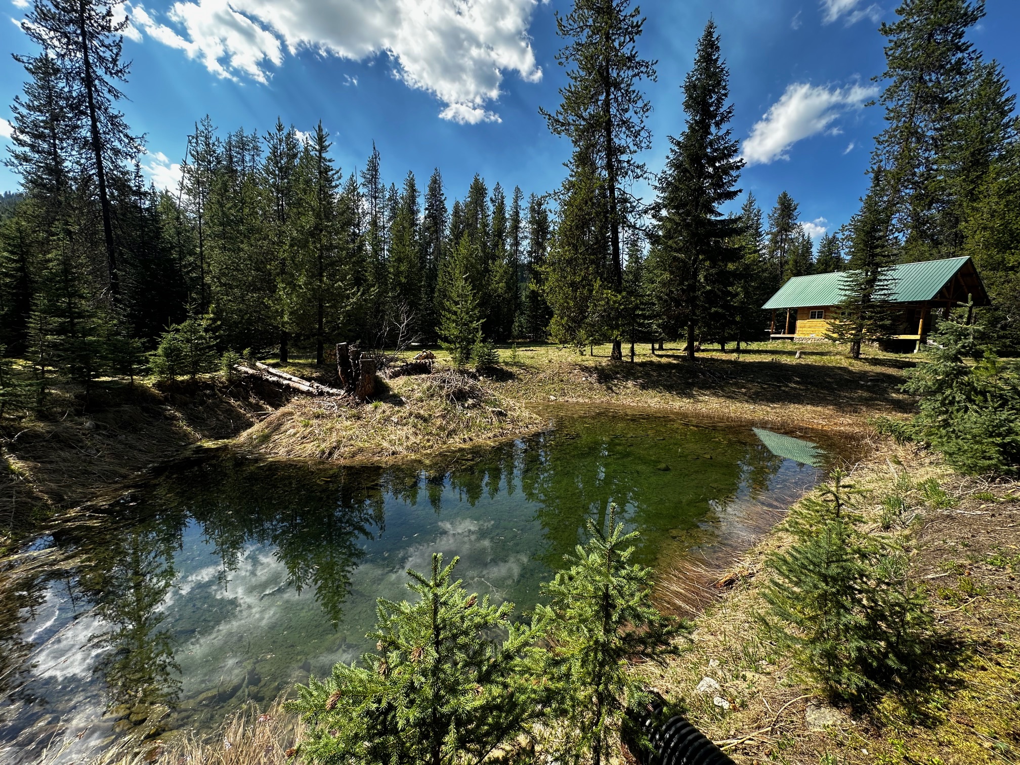 1958 Packer Creek Road