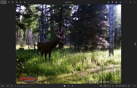 Tiny photo for 3039 and 3005 Foothill Road, Kalispell, MT 59901 (MLS # 30053398)