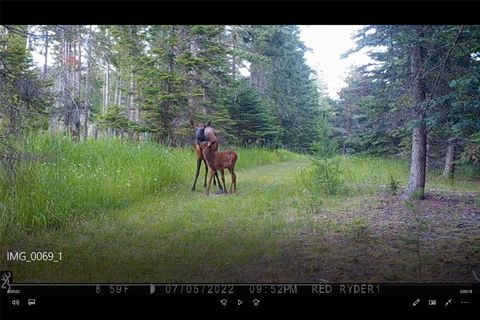 Tiny photo for 3039 and 3005 Foothill Road, Kalispell, MT 59901 (MLS # 30053398)