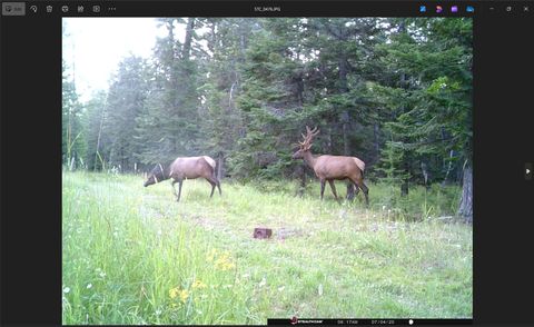 Tiny photo for 3039 and 3005 Foothill Road, Kalispell, MT 59901 (MLS # 30053398)