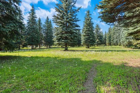 Tiny photo for 3039 and 3005 Foothill Road, Kalispell, MT 59901 (MLS # 30053398)