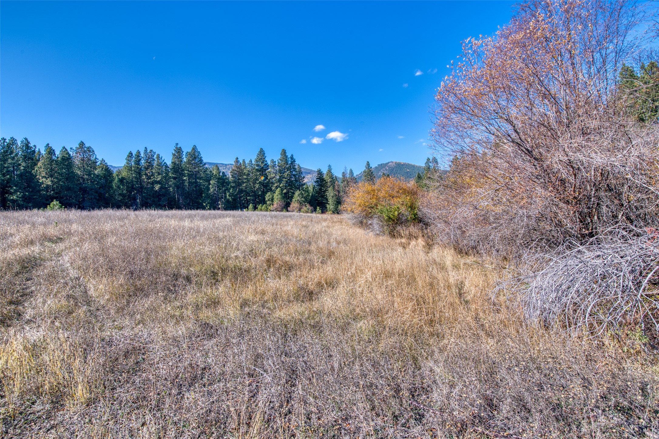 Stevensville, Montana 59870, United States, 2 Bedrooms Bedrooms, ,3 BathroomsBathrooms,Residential,Pending,35014