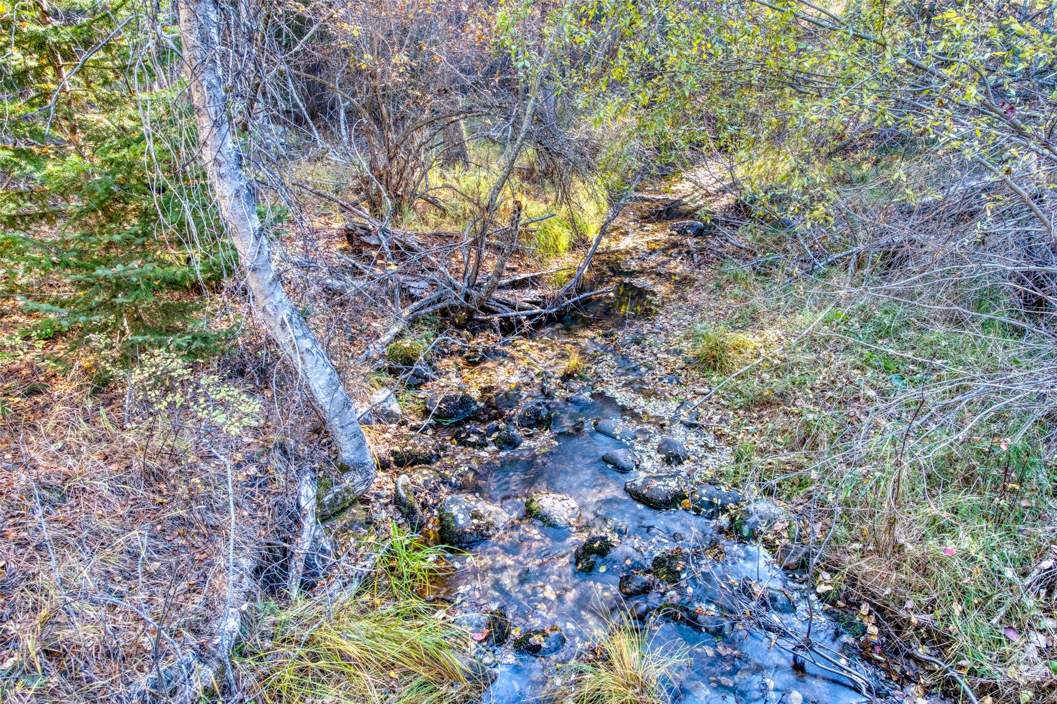 Stevensville, Montana 59870, United States, 2 Bedrooms Bedrooms, ,3 BathroomsBathrooms,Residential,Pending,35014