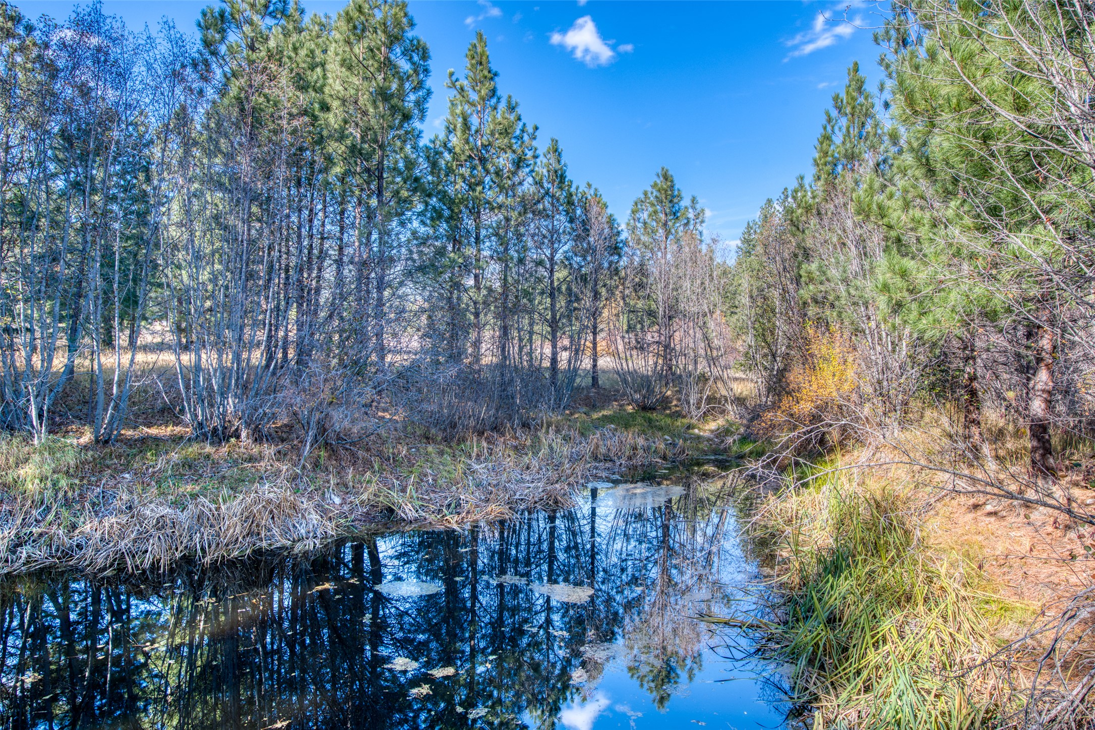 Stevensville, Montana 59870, United States, 2 Bedrooms Bedrooms, ,3 BathroomsBathrooms,Residential,Pending,35014