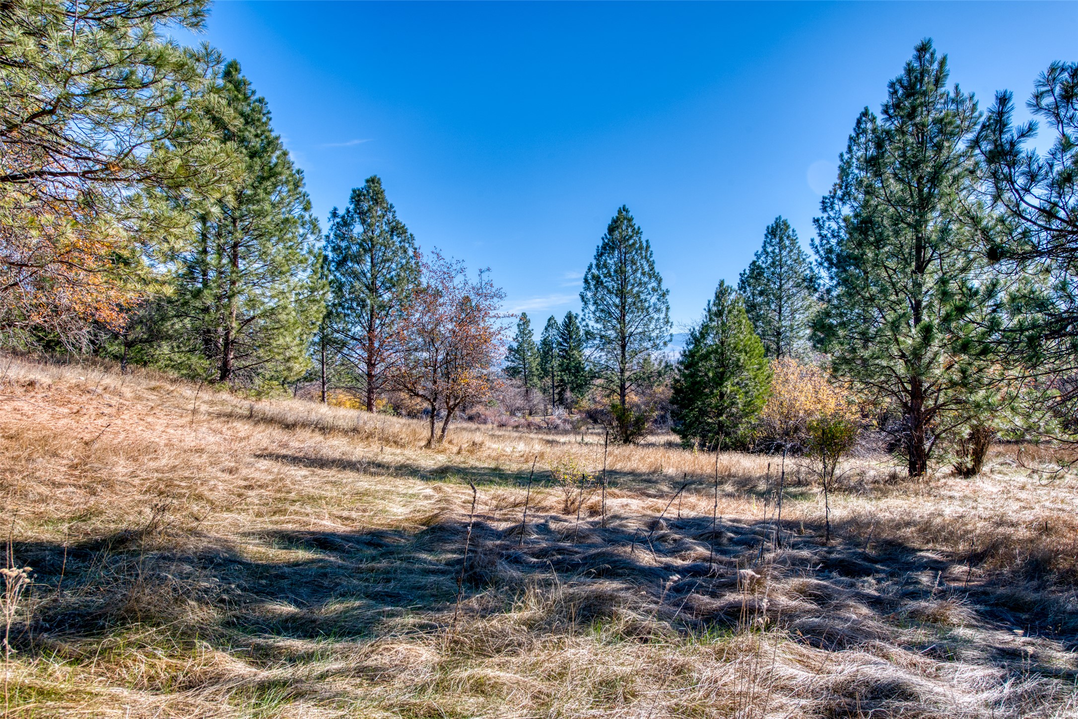 Stevensville, Montana 59870, United States, 2 Bedrooms Bedrooms, ,3 BathroomsBathrooms,Residential,Pending,35014