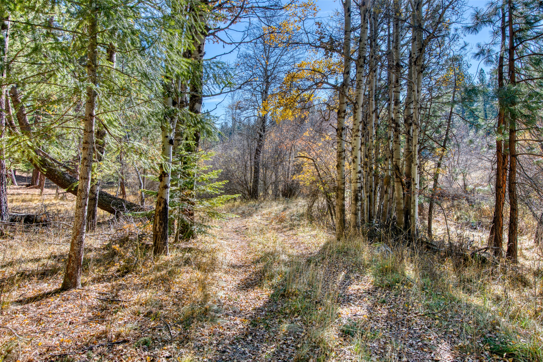 Stevensville, Montana 59870, United States, 2 Bedrooms Bedrooms, ,3 BathroomsBathrooms,Residential,Pending,35014