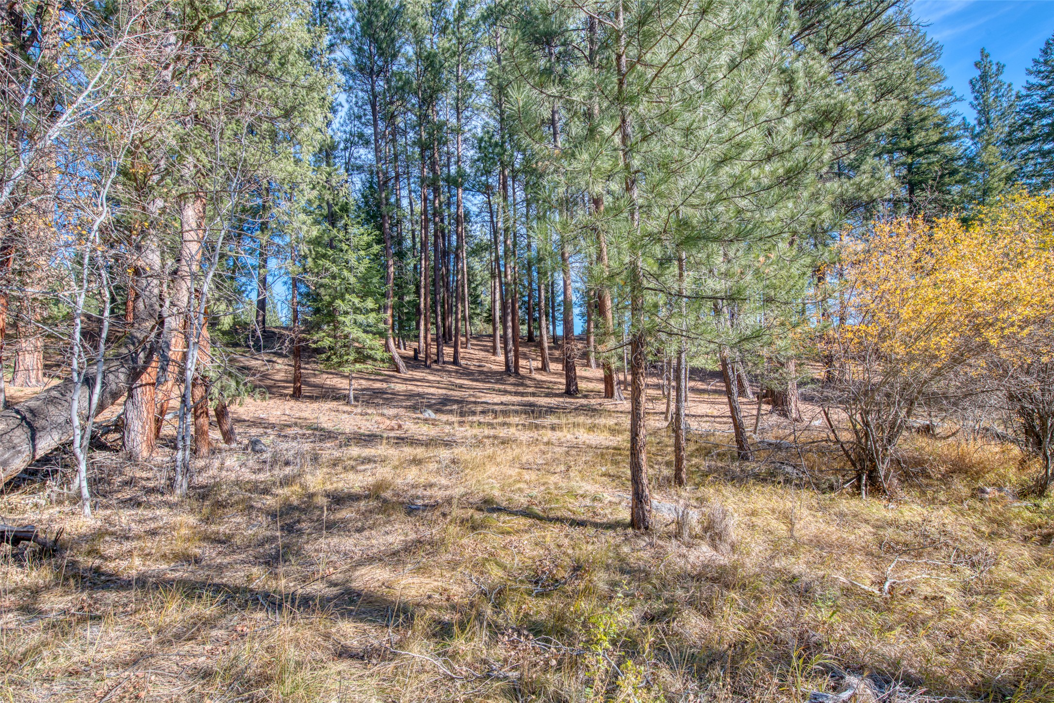 Stevensville, Montana 59870, United States, 2 Bedrooms Bedrooms, ,3 BathroomsBathrooms,Residential,Pending,35014