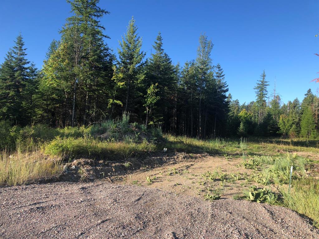 Bigfork, Montana 59911, United States, ,Land,Active,257309