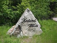 Bigfork, Montana 59911, United States, ,Land,Active,257309