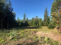 Bigfork, Montana 59911, United States, ,Land,Active,257309