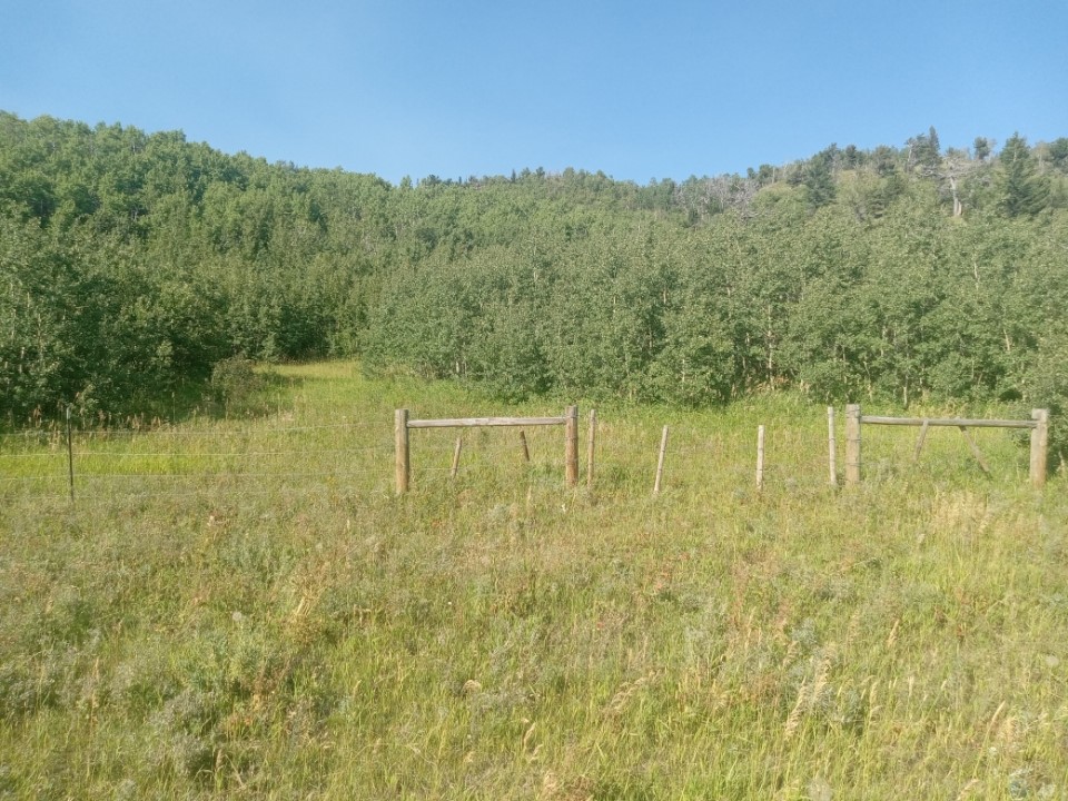 NHN HWY 89 Starr School Road