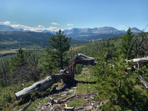 NHN HWY 89 Starr School Road Browning MT 59417
