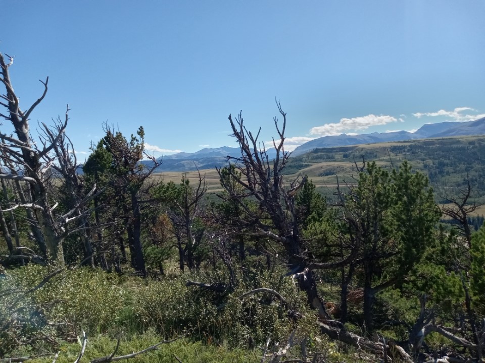 NHN HWY 89 Starr School Road