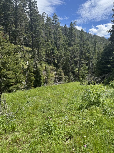 Tiny photo for NHN Cadotte Creek Road, Lincoln, MT 59639 (MLS # 30073309)