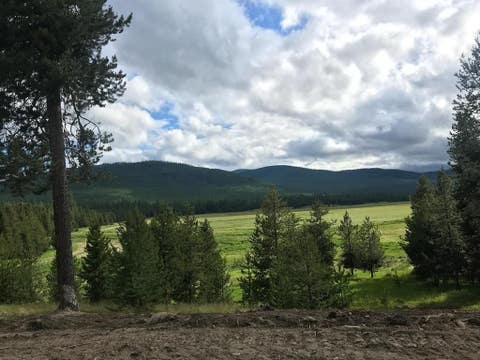 Photo of Tract 2 McGregors Meadow Road W, Marion, MT 59925 (MLS # 30072811)