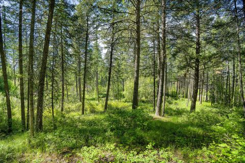 Tiny photo for 121 Pinto Trail, Bigfork, MT 59911 (MLS # 30069965)