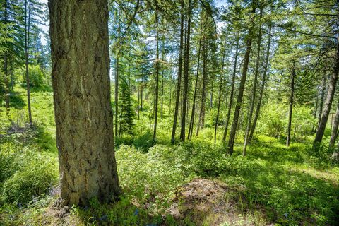 Tiny photo for 121 Pinto Trail, Bigfork, MT 59911 (MLS # 30069965)