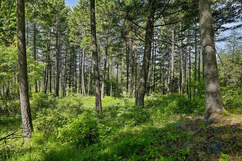 Tiny photo for 121 Pinto Trail, Bigfork, MT 59911 (MLS # 30069965)