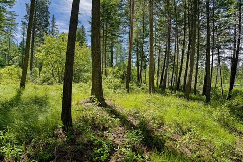 Tiny photo for 121 Pinto Trail, Bigfork, MT 59911 (MLS # 30069965)