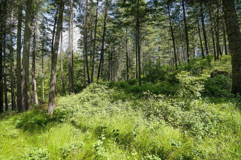 Tiny photo for 121 Pinto Trail, Bigfork, MT 59911 (MLS # 30069965)