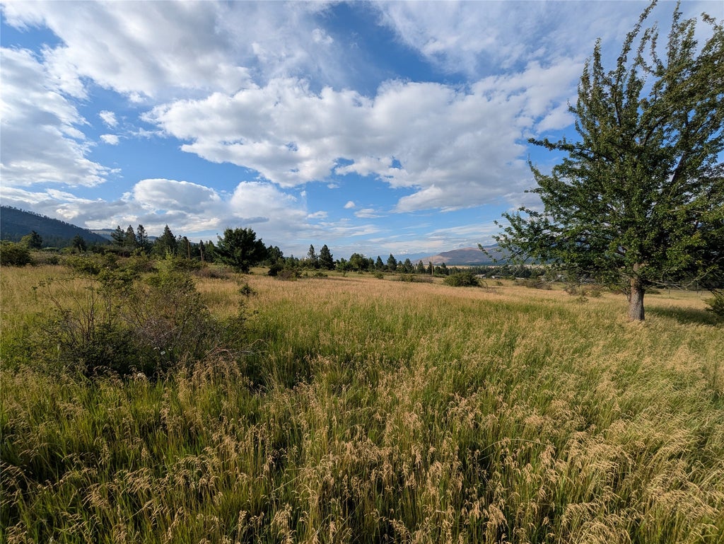 Photo of NHN W Carlton Creek Road, Florence, MT 59833 (MLS # 30074519)