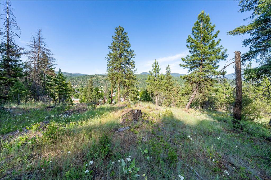 Photo of TBD E Dent Avenue, Troy, MT 59935 (MLS # 30063697)