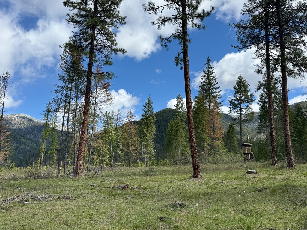 Photo of 47 Dickson Drive, Thompson Falls, MT 59873 (MLS # 30070003)