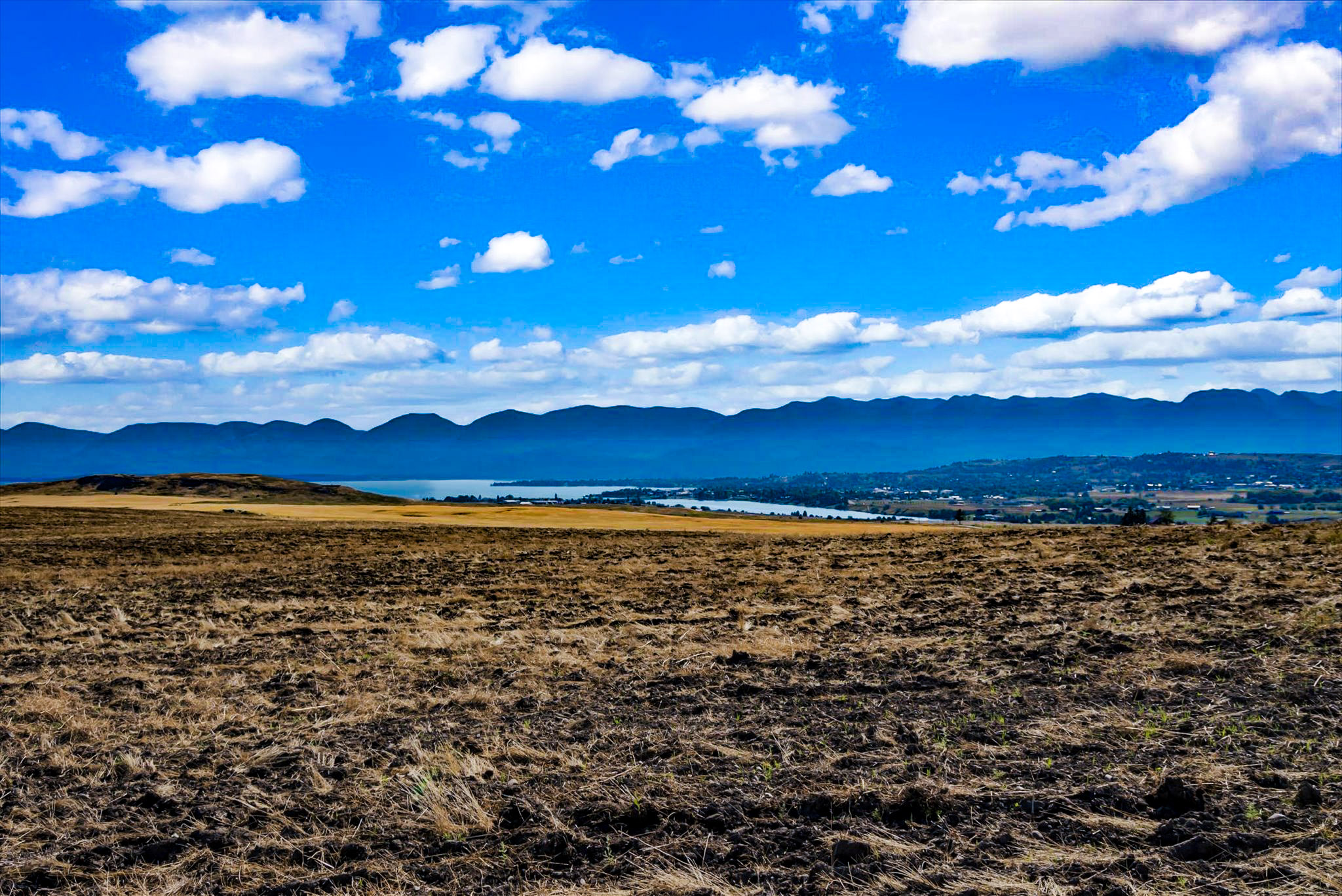 NHN Lot 5 Irvine Ridge Lane