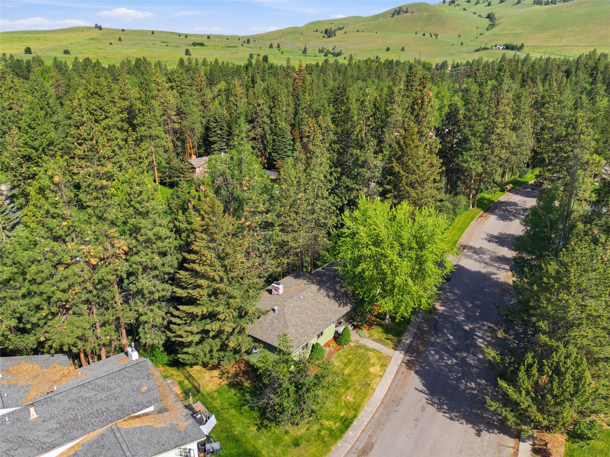 3929 Timberlane Street