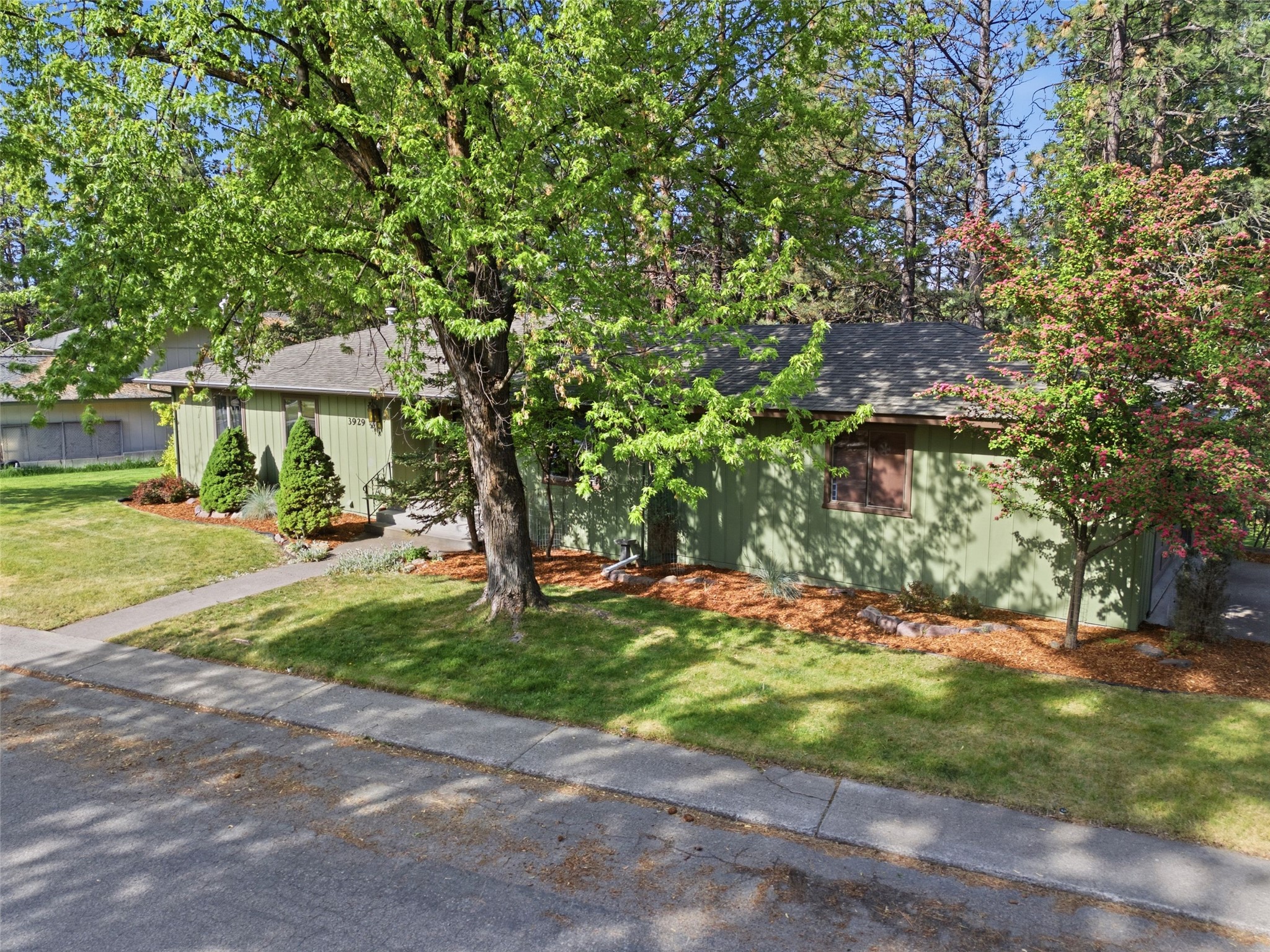3929 Timberlane Street