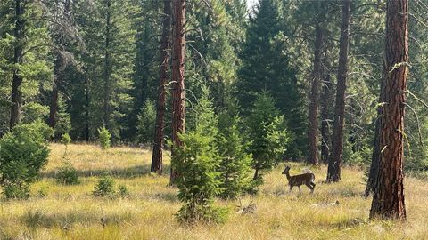 Photo of NHN Hwy 37, Libby, MT 59923 (MLS # 30066892)