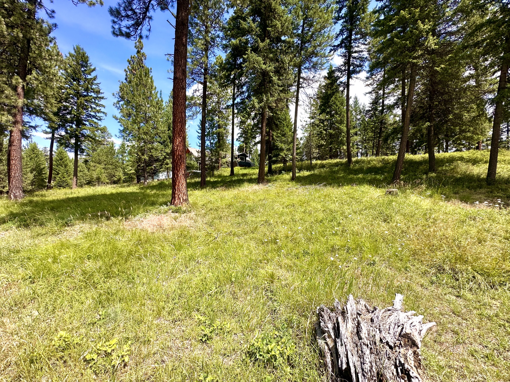 Photo 1 of 3 — NHN Cornerstone Road, Thompson Falls, MT 59873