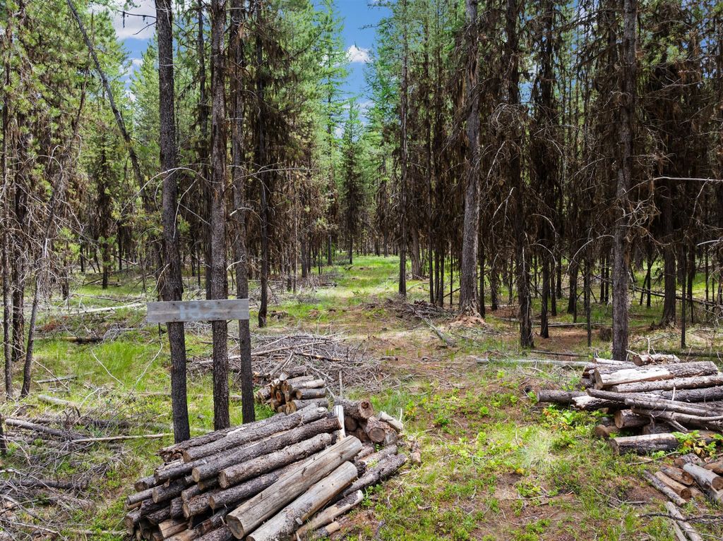 Photo of 182 New Timber Ridge Trail, Marion, MT 59925 (MLS # 30064103)