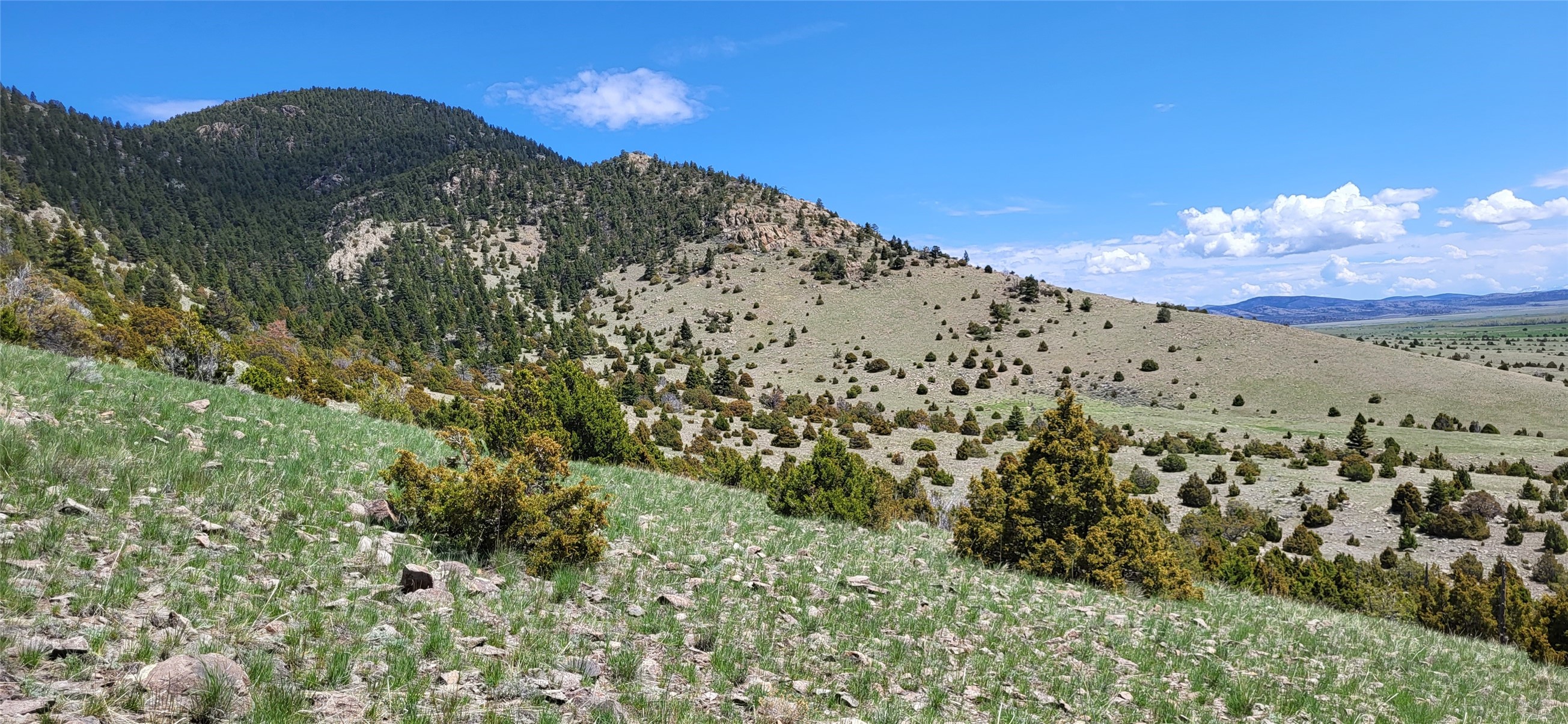 Boulder, Montana 59632, United States, ,Land,Active,63341