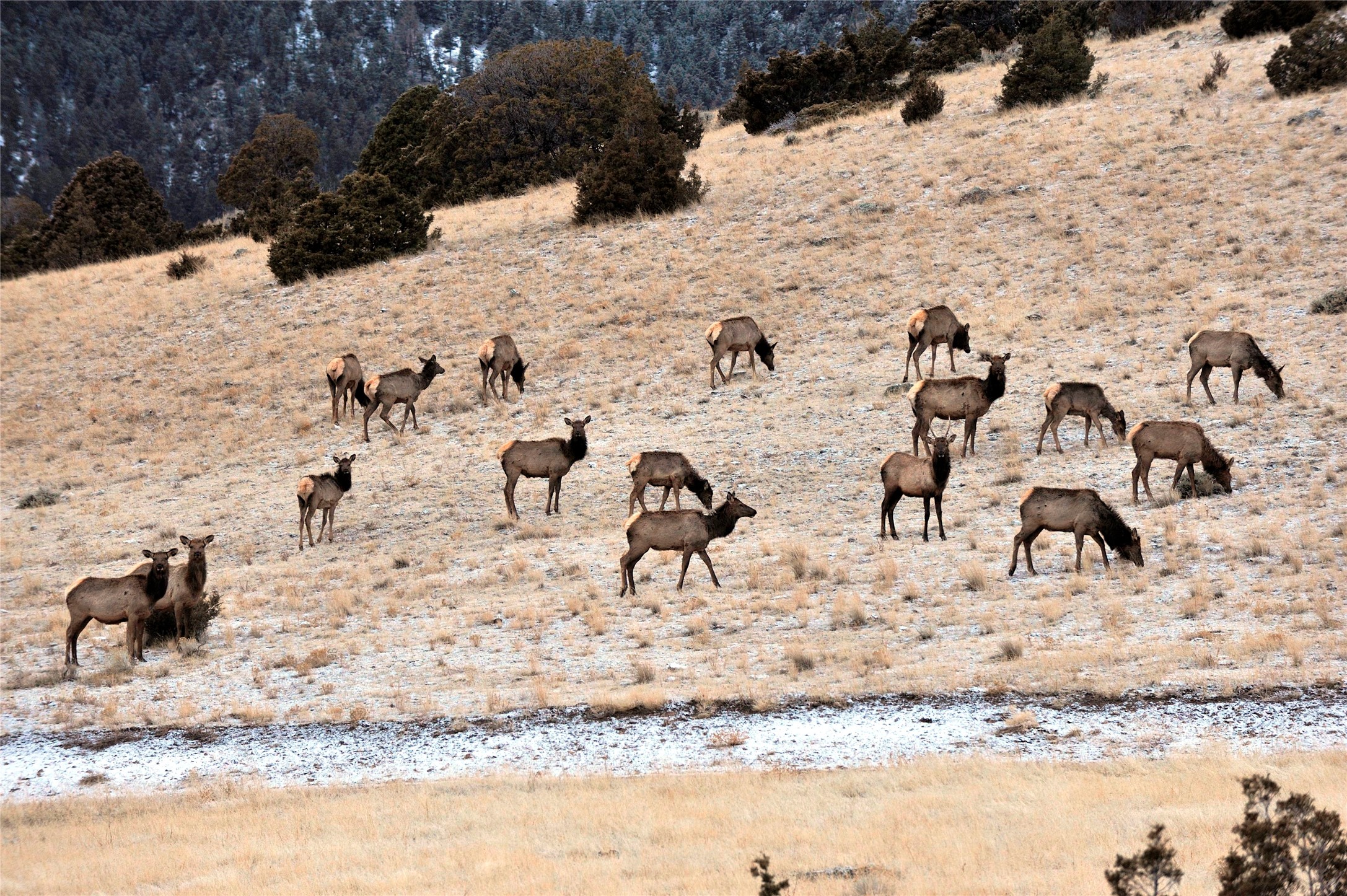 Boulder, Montana 59632, United States, ,Land,Active,63341