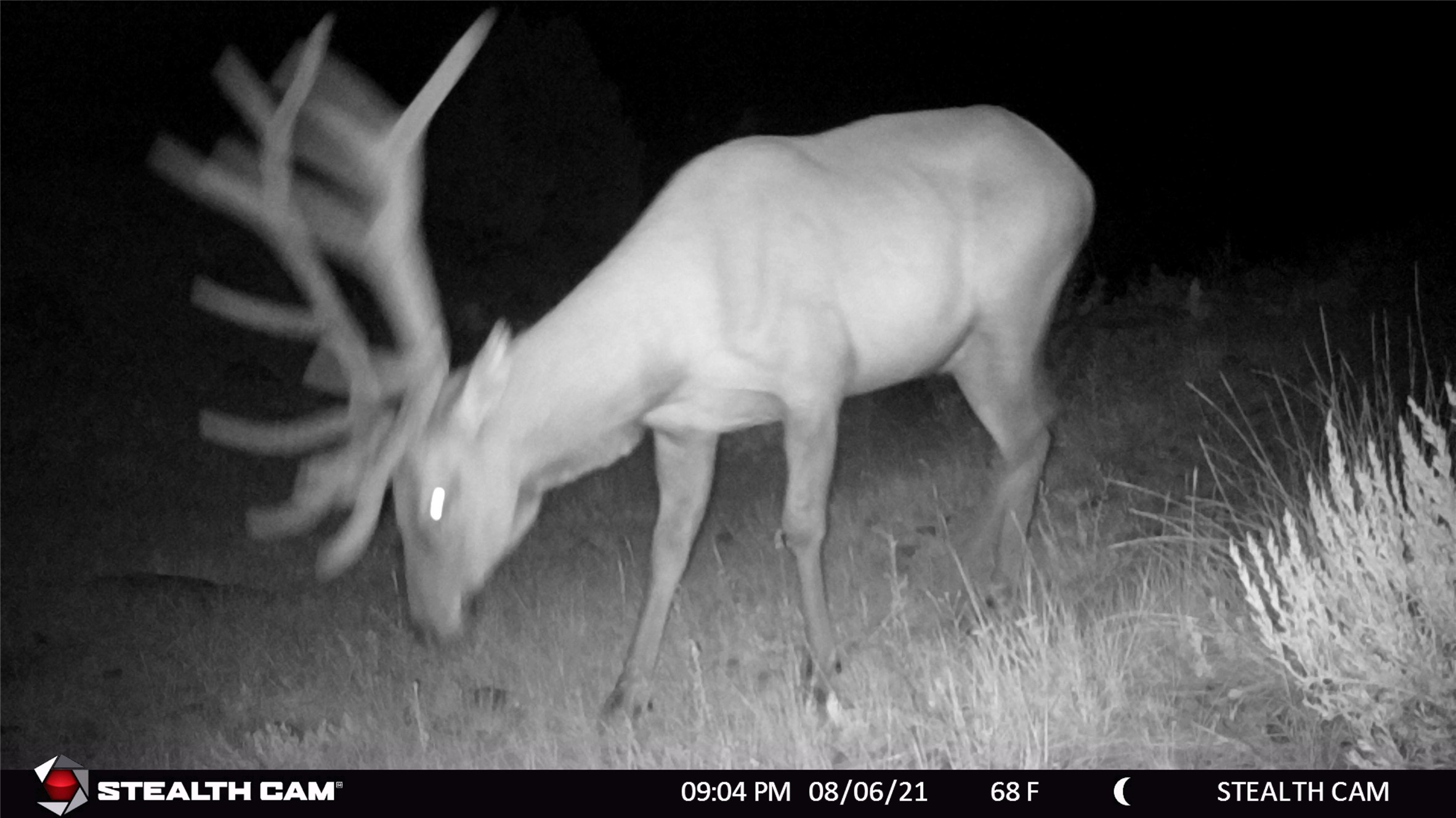 Boulder, Montana 59632, United States, ,Land,Active,63341