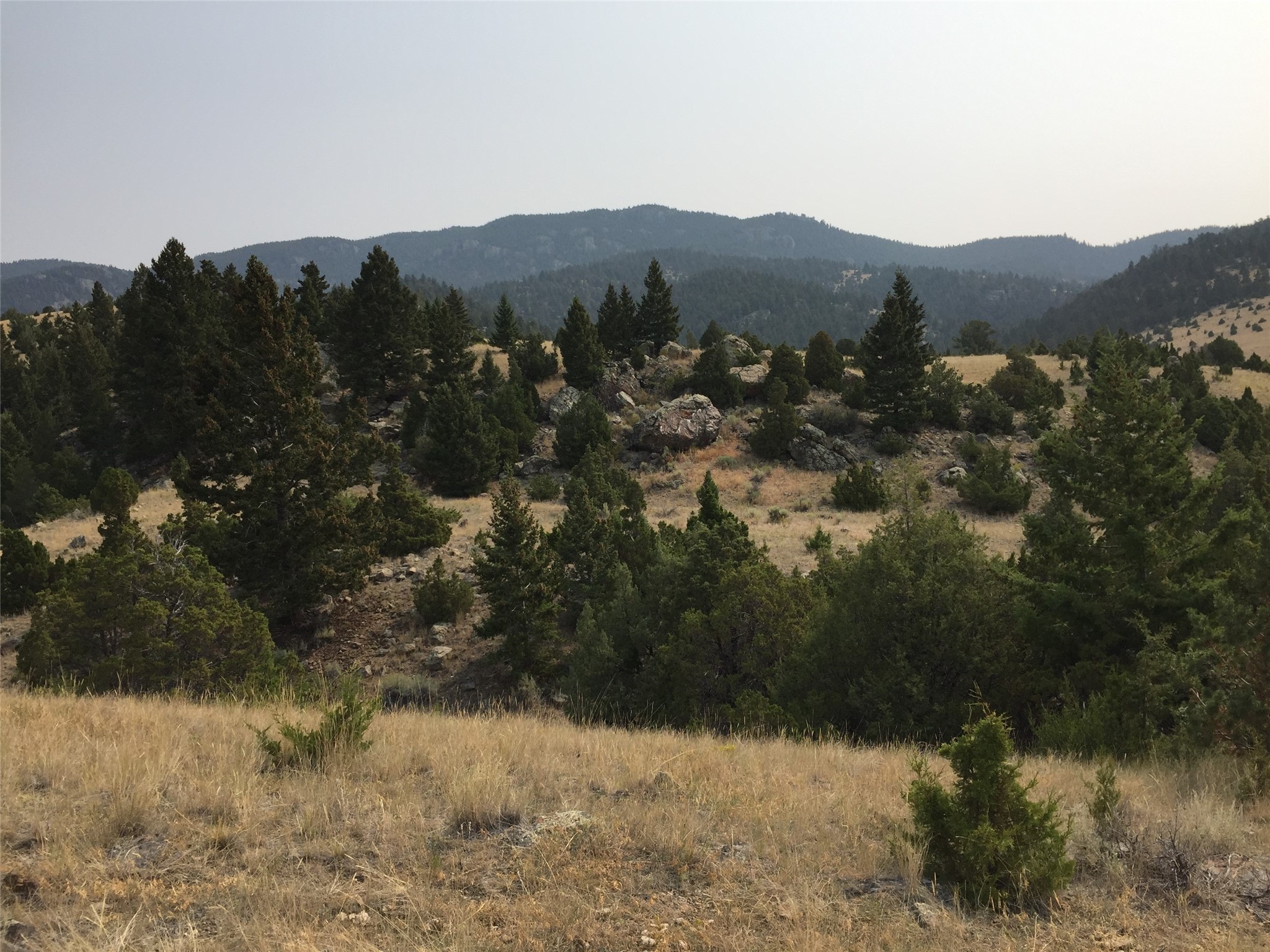 Boulder, Montana 59632, United States, ,Land,Active,63341