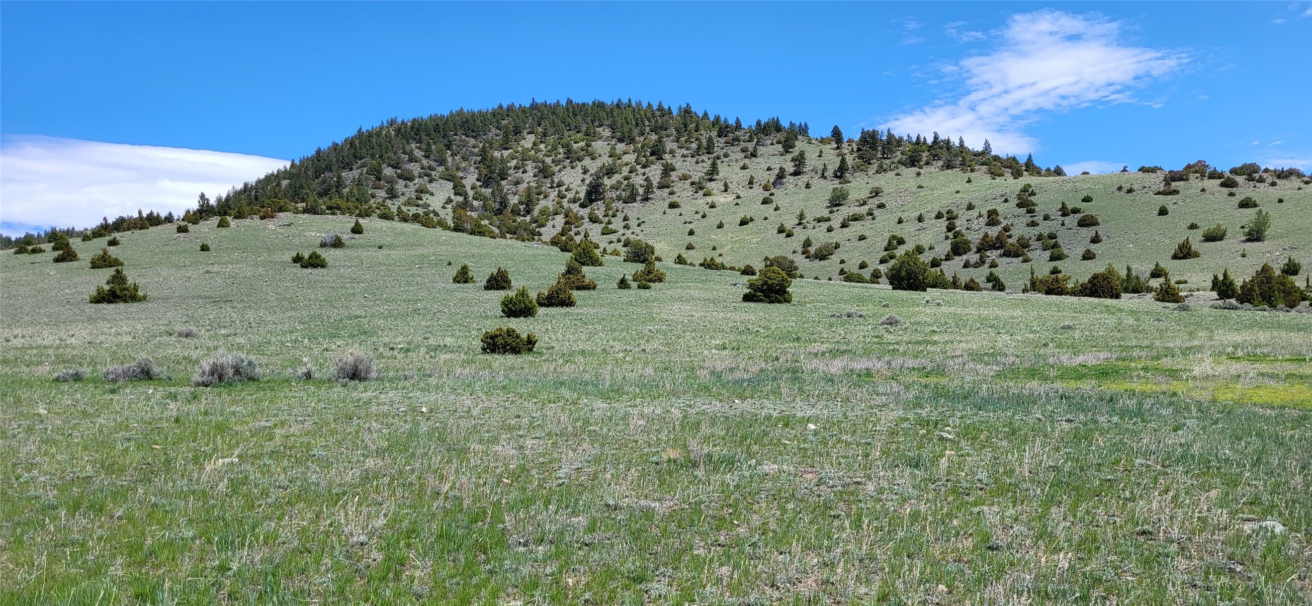 Boulder, Montana 59632, United States, ,Land,Active,63341