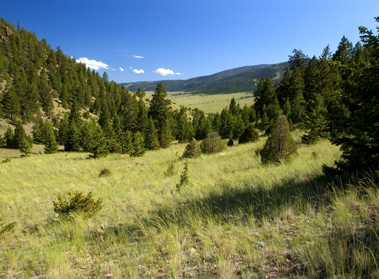 Boulder, Montana 59632, United States, ,Land,Active,63341
