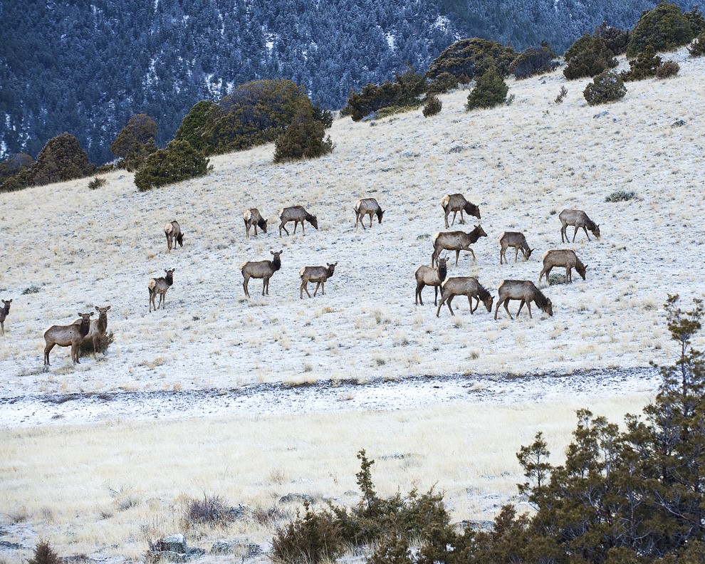 Boulder, Montana 59632, United States, ,Land,Active,63341