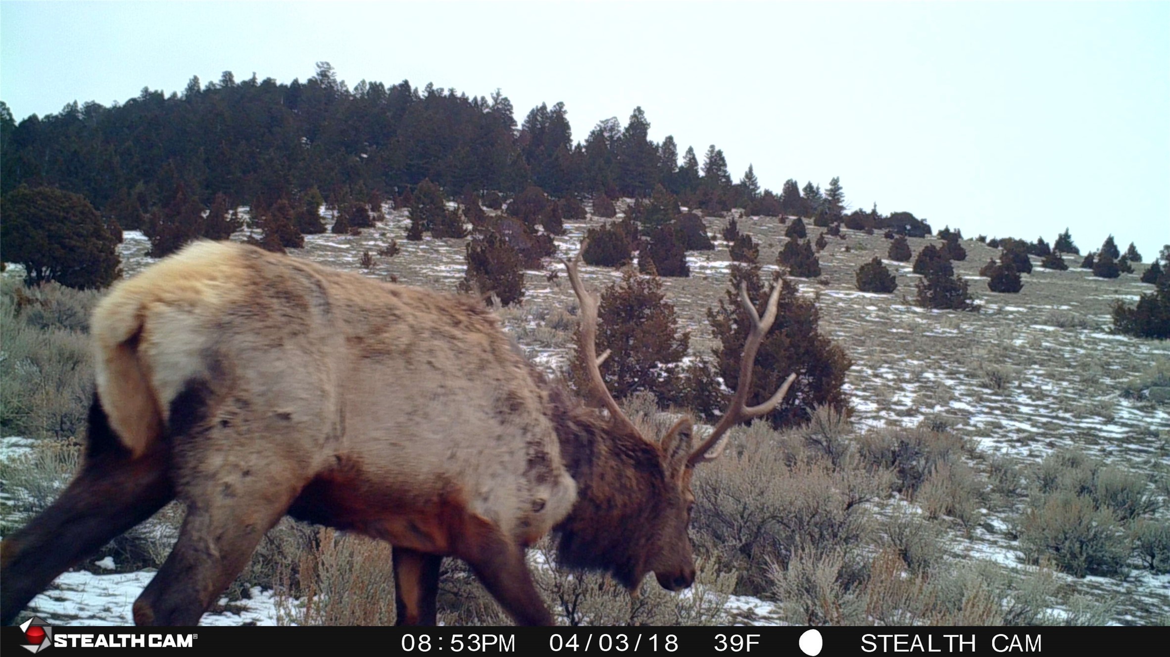 Boulder, Montana 59632, United States, ,Land,Active,63341