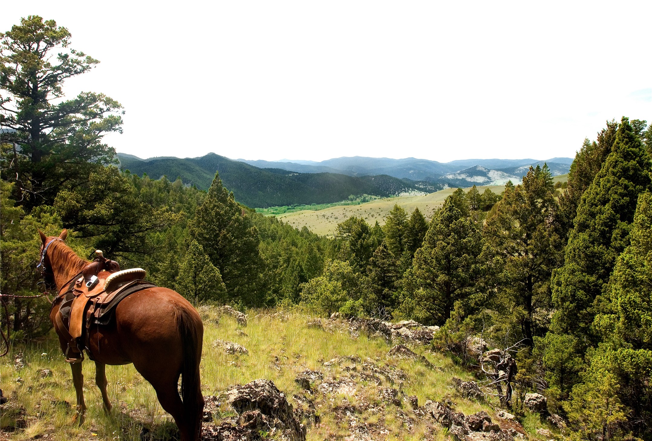 Boulder, Montana 59632, United States, ,Land,Active,63341