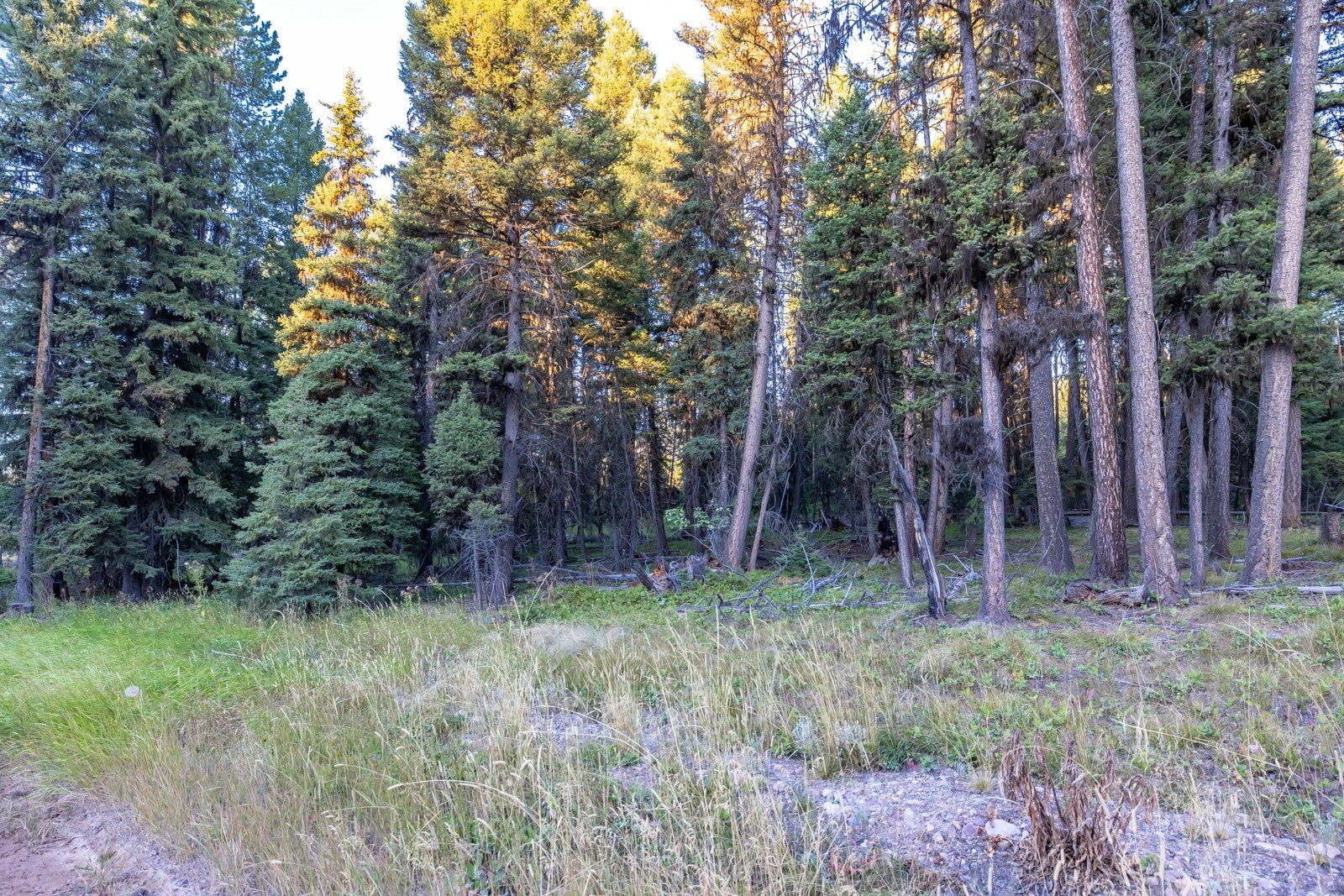 412 Glacier Drive