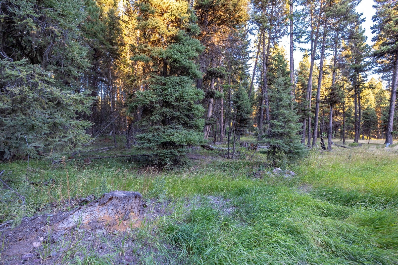412 Glacier Drive