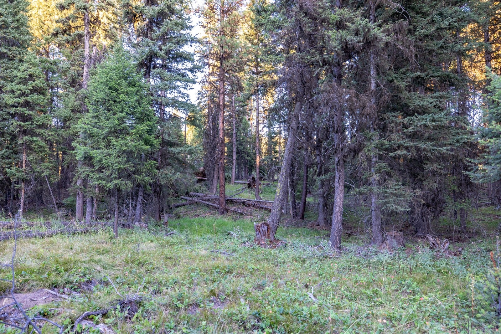 412 Glacier Drive