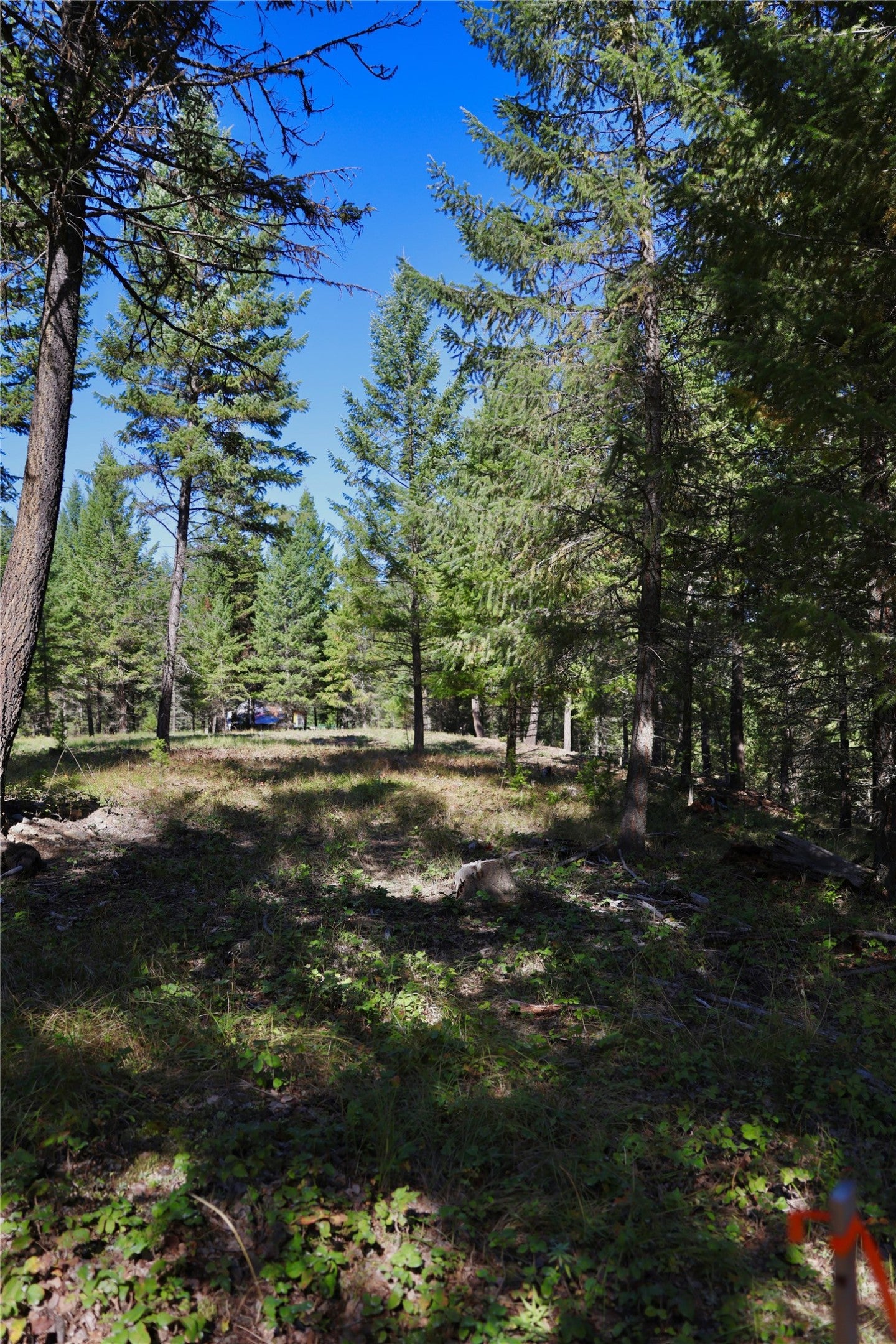 LOT 2 Tobacco Road