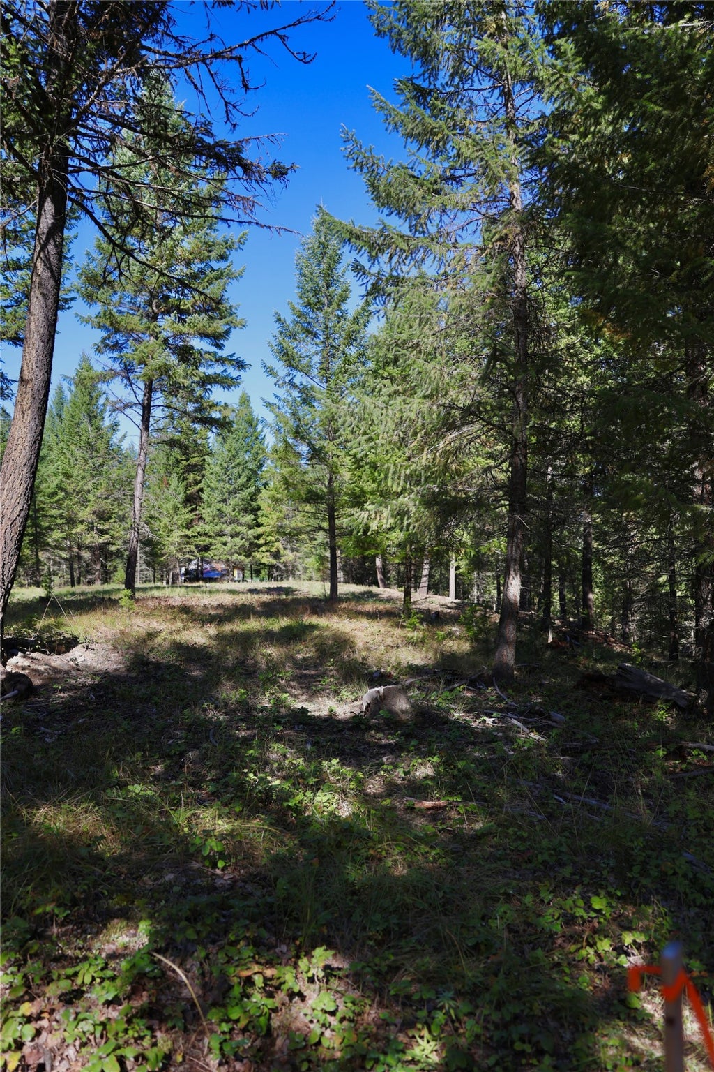 Photo of Lot 2 Tobacco Road, Eureka, MT 59917 (MLS # 30078597)