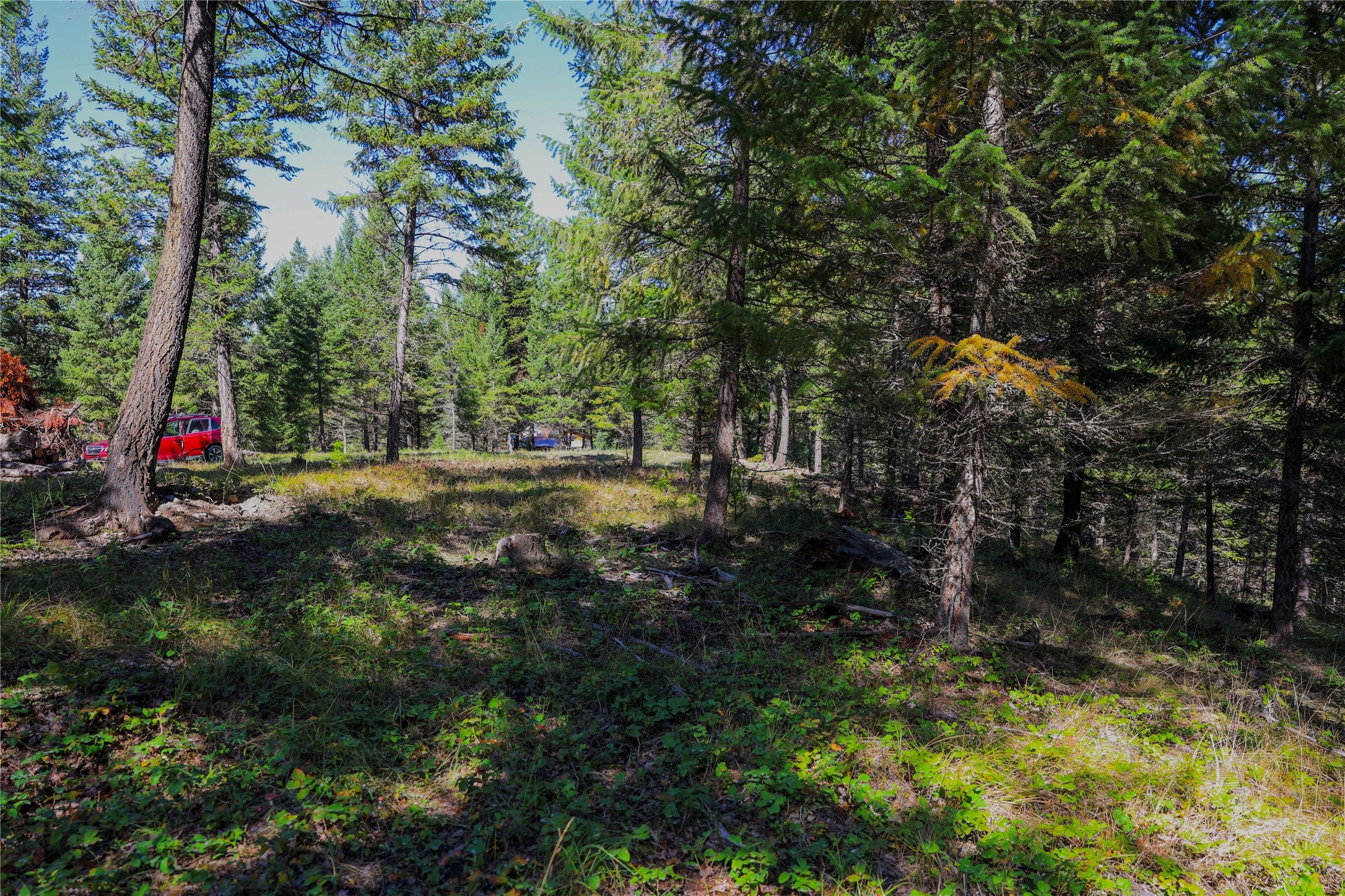 LOT 2 Tobacco Road