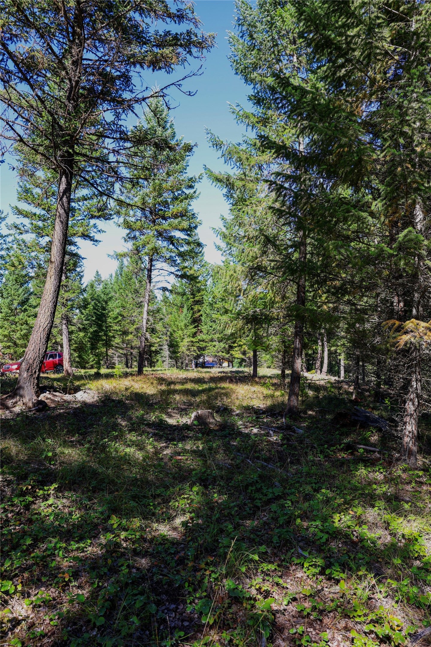 LOT 2 Tobacco Road